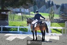 ref. photo 3555326