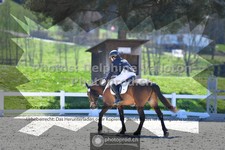 ref. photo 3555327