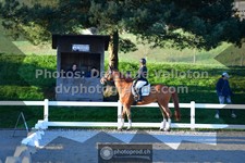 ref. photo 3555332