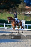 ref. photo 3555349