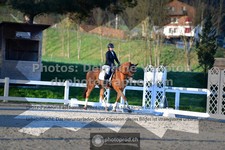 ref. photo 3555350