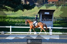 ref. photo 3555356