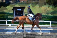 ref. photo 3555360