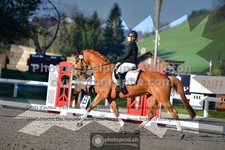 ref. photo 3555365