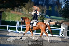 ref. photo 3555366