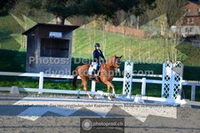 ref. photo 3555368