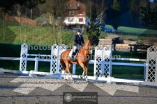 ref. photo 3555369