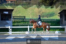 ref. photo 3555381