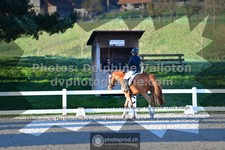 ref. photo 3555395