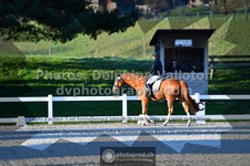 ref. photo 3555396