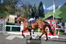 ref. photo 3555405
