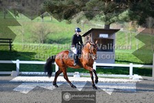 ref. photo 3555406