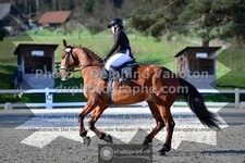 ref. photo 3555407