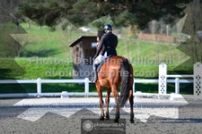 ref. photo 3555408