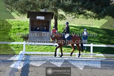 ref. photo 3555409