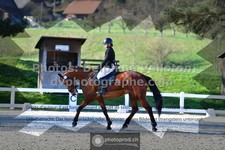 ref. photo 3555412