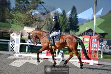 ref. photo 3555415