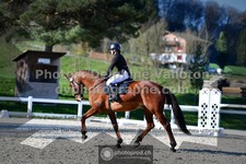 ref. photo 3555416