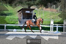 ref. photo 3555417