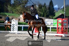ref. photo 3555421