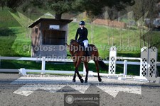 ref. photo 3555423
