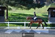 ref. photo 3555425