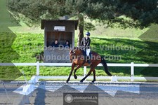 ref. photo 3555426