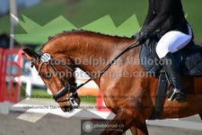ref. photo 3555430