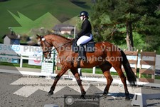 ref. photo 3555433