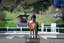 ref. photo 3555434