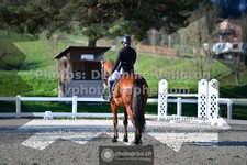 ref. photo 3555435