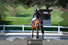 ref. photo 3555436