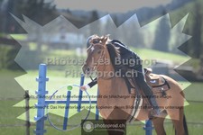 ref. photo 3555442