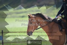 ref. photo 3555444