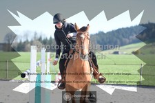 ref. photo 3555447