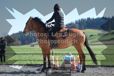 ref. photo 3555450