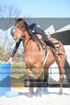 ref. photo 3555451