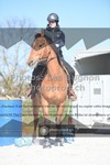 ref. photo 3555452