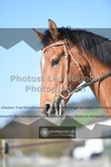 ref. photo 3555453