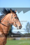ref. photo 3555454