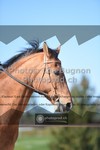ref. photo 3555455