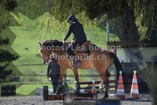 ref. photo 3555456