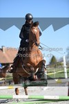 ref. photo 3555463