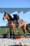 ref. photo 3555468