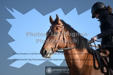 ref. photo 3555469