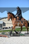 ref. photo 3555471