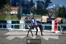 ref. photo 3555475