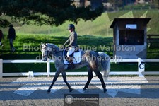 ref. photo 3555482