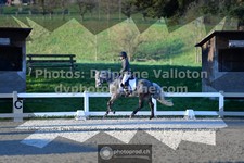ref. photo 3555501