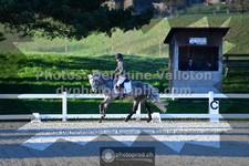 ref. photo 3555502